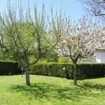 Particolare del giardino nel Residence villa valsi