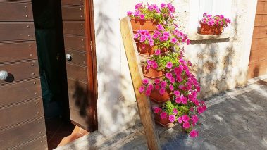 ingresso appartamento lilla residence villa valsi